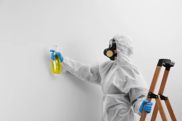 Mold Remediation for Vacation Homes in Carver, MN